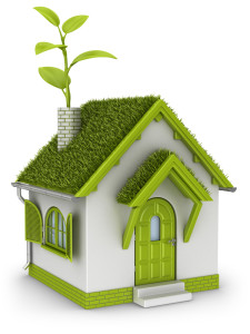animated green-house