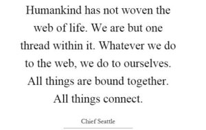 humankind-has-not-woven-the-web-of-life-we-are-but-one-thread-within-it-whatever-we-do-to-the-web-quote-1